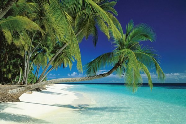 Maldives - Beach